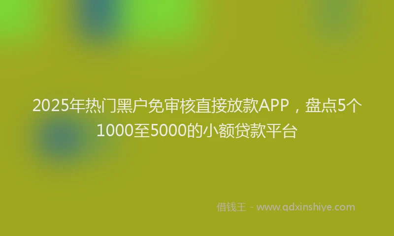 2025年热门黑户免审核直接放款APP,盘点5个1000至5000的小额贷款平台
