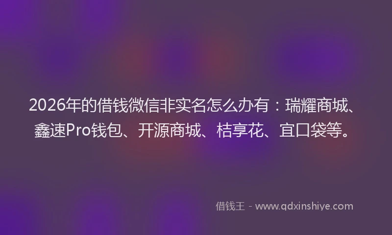 2026年的借钱微信非实名怎么办有：瑞耀商城、鑫速Pro钱包、开源商城、桔享花、宜口袋等。