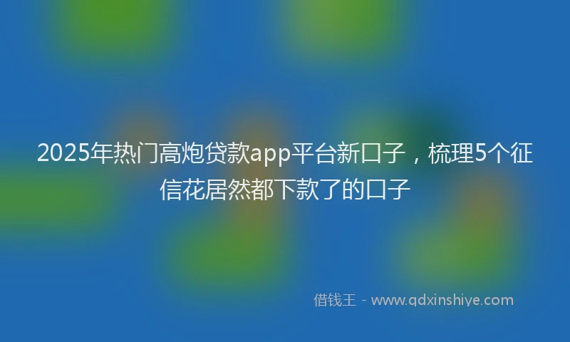 2025年热门高炮贷款app平台新口子，梳理5个征信花居然都下款了的口子