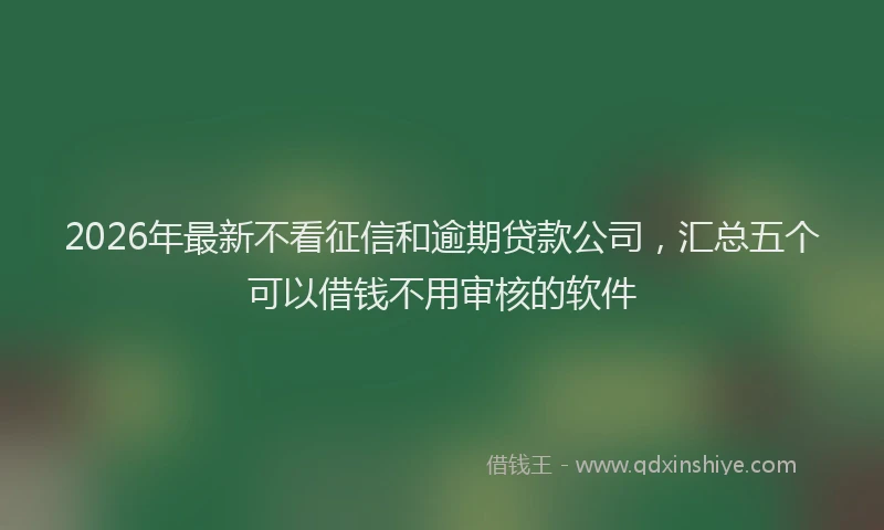 2026年最新不看征信和逾期贷款公司，汇总五个可以借钱不用审核的软件