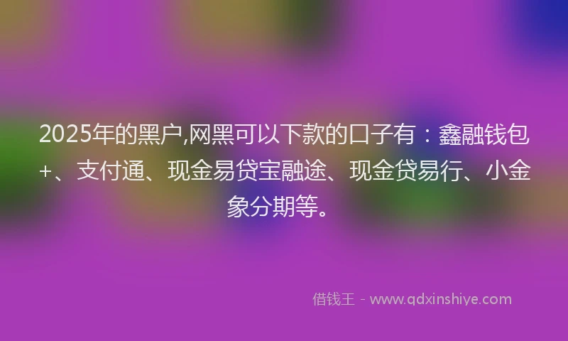 2025年的黑户,网黑可以下款的口子有：鑫融钱包+、支付通、现金易贷宝融途、现金贷易行、小金象分期等。