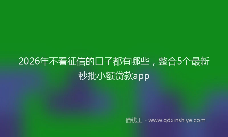 2026年不看征信的口子都有哪些，整合5个最新秒批小额贷款app