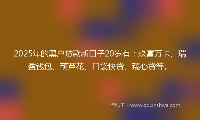 2025年的黑户贷款新口子20岁有：玖富万卡、瑞盈钱包、葫芦花、口袋快贷、臻心贷等。