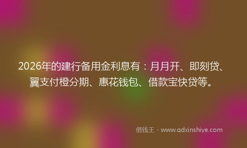 2026年的建行备用金利息有：月月开、即刻贷、翼支付橙分期、惠花钱包、借款宝快贷等。