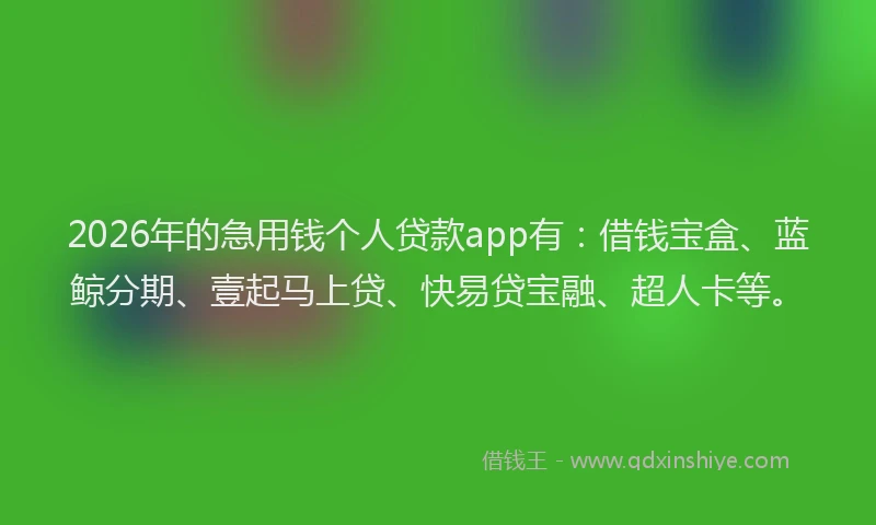 2026年的急用钱个人贷款app有：借钱宝盒、蓝鲸分期、壹起马上贷、快易贷宝融、超人卡等。