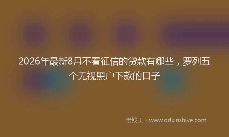 2026年最新8月不看征信的贷款有哪些，罗列五个无视黑户下款的口子