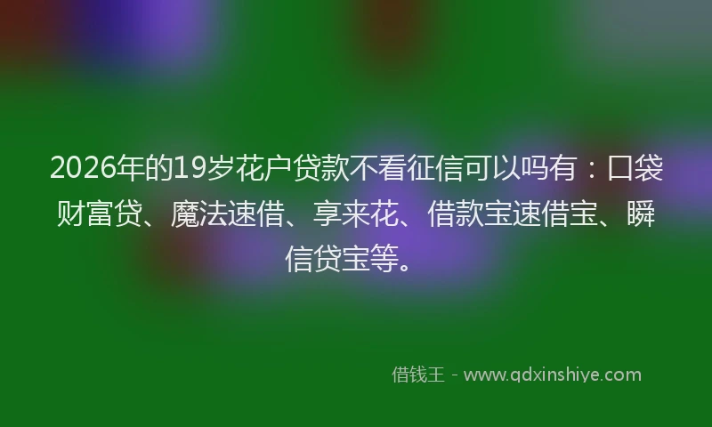 2026年的19岁花户贷款不看征信可以吗有：口袋财富贷、魔法速借、享来花、借款宝速借宝、瞬信贷宝等。