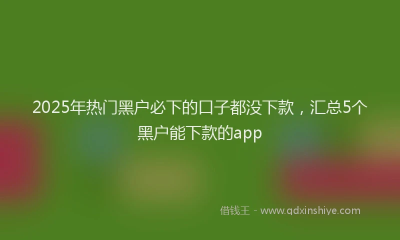 2025年热门黑户必下的口子都没下款,汇总5个黑户能下款的app
