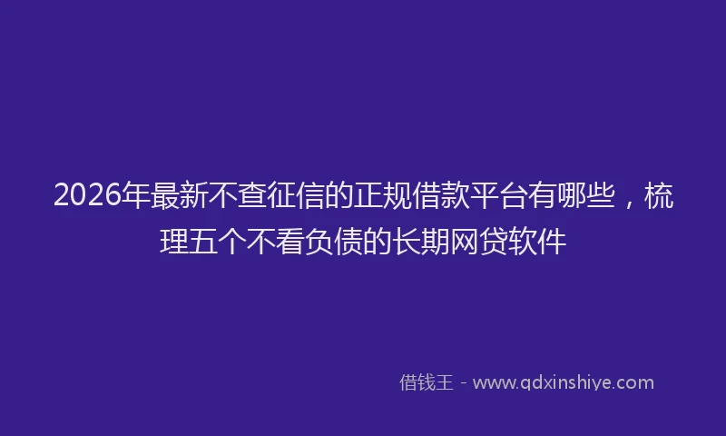 2026年最新不查征信的正规借款平台有哪些,梳理五个不看负债的长期网贷软件