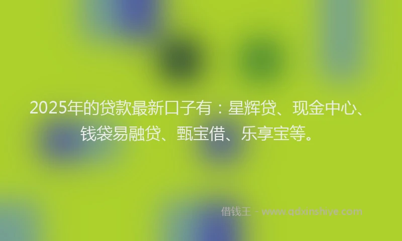 2025年的贷款最新口子有：星辉贷、现金中心、钱袋易融贷、甄宝借、乐享宝等。