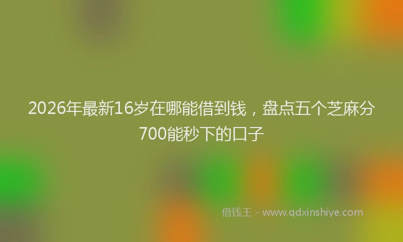 2026年最新16岁在哪能借到钱,盘点五个芝麻分700能秒下的口子