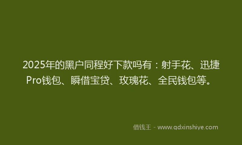 2025年的黑户同程好下款吗有:射手花、迅捷Pro钱包、瞬借宝贷、玫瑰花、全民钱包等。