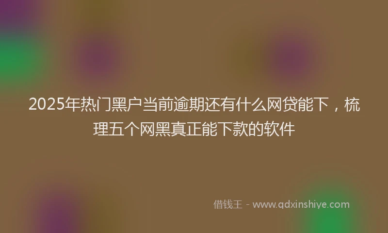 2025年热门黑户当前逾期还有什么网贷能下,梳理五个网黑真正能下款的软件