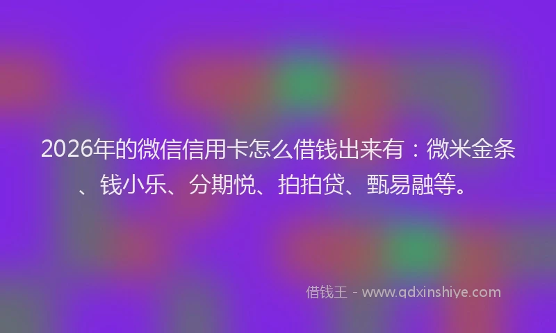2026年的微信信用卡怎么借钱出来有:微米金条、钱小乐、分期悦、拍拍贷、甄易融等。