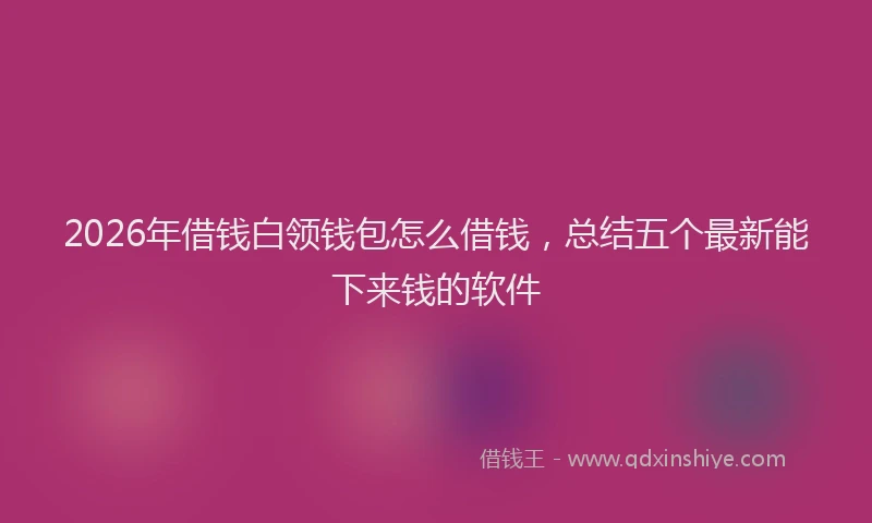 2026年借钱白领钱包怎么借钱，总结五个最新能下来钱的软件