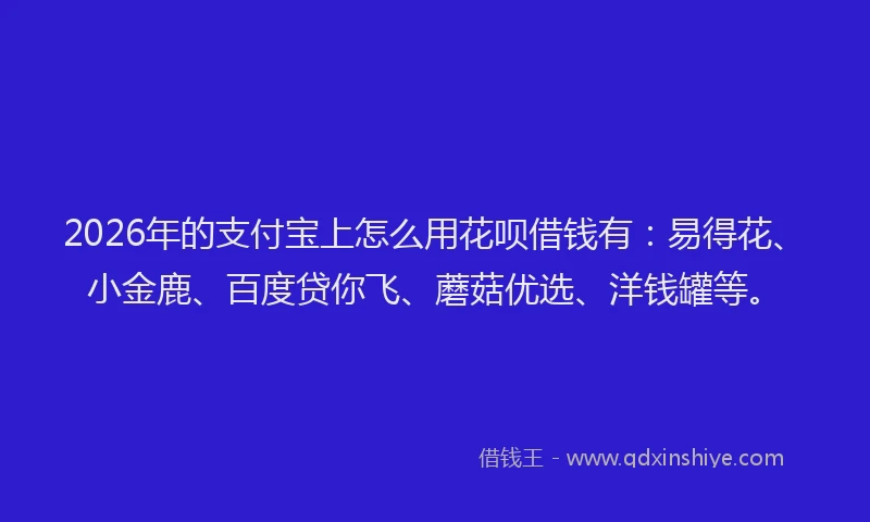 2026年的支付宝上怎么用花呗借钱有：易得花、小金鹿、百度贷你飞、蘑菇优选、洋钱罐等。