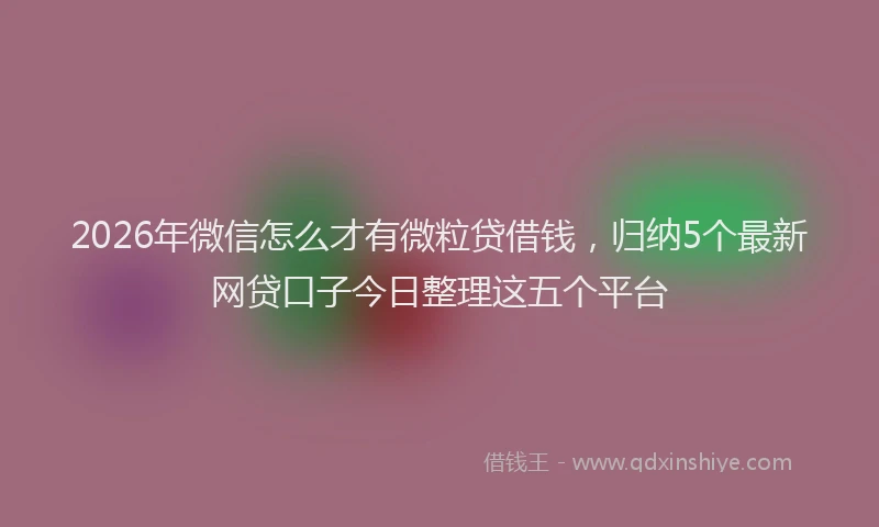 2026年微信怎么才有微粒贷借钱，归纳5个最新网贷口子今日整理这五个平台