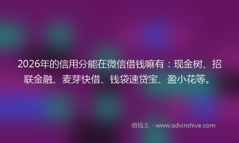 2026年的信用分能在微信借钱嘛有:现金树、招联金融、麦芽快借、钱袋速贷宝、盈小花等。