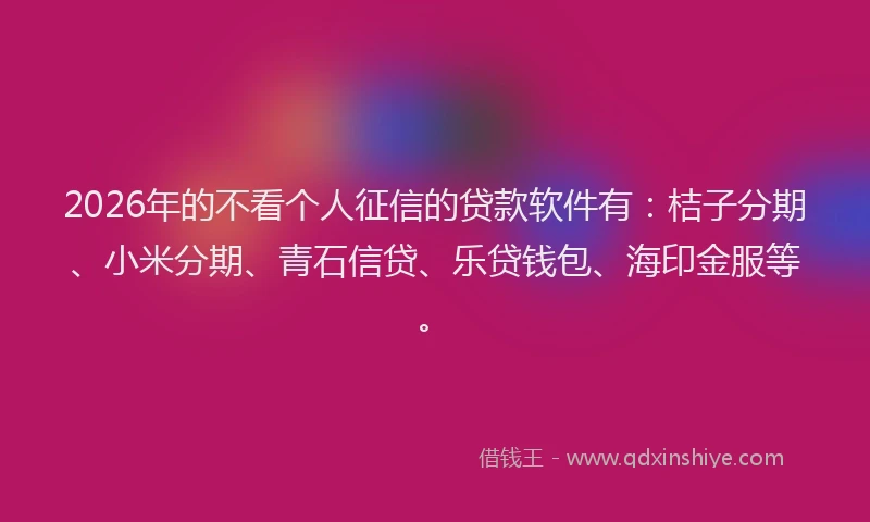 2026年的不看个人征信的贷款软件有:桔子分期、小米分期、青石信贷、乐贷钱包、海印金服等。