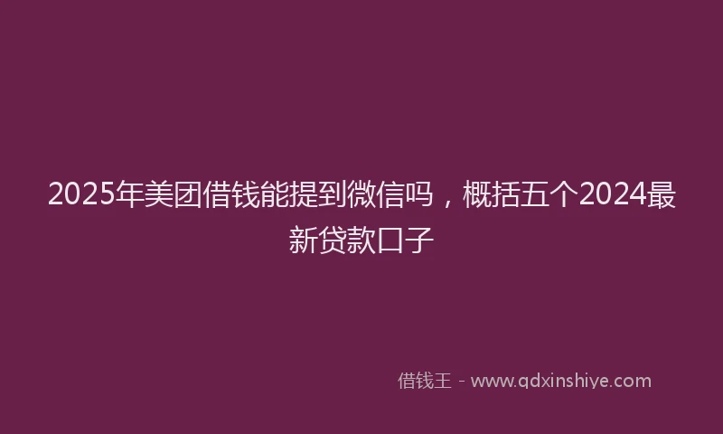 2025年美团借钱能提到微信吗，概括五个2024最新贷款口子