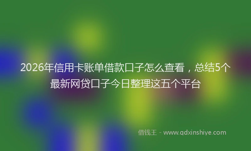 2026年信用卡账单借款口子怎么查看,总结5个最新网贷口子今日整理这五个平台