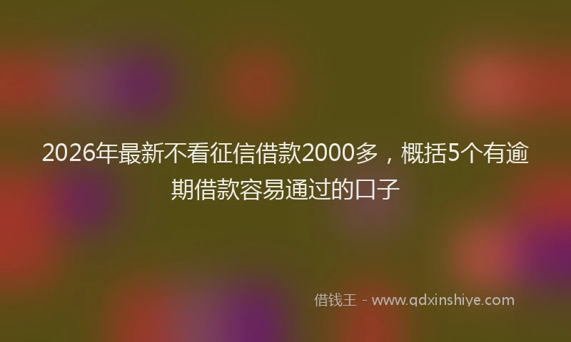 2026年最新不看征信借款2000多，概括5个有逾期借款容易通过的口子
