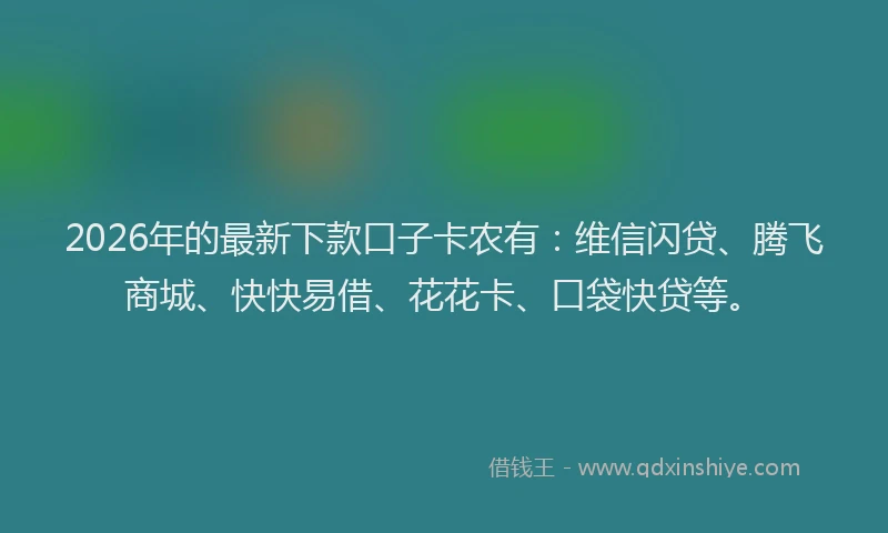 2026年的最新下款口子卡农有：维信闪贷、腾飞商城、快快易借、花花卡、口袋快贷等。