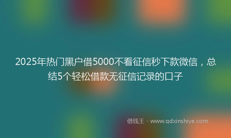 2025年热门黑户借5000不看征信秒下款微信，总结5个轻松借款无征信记录的口子