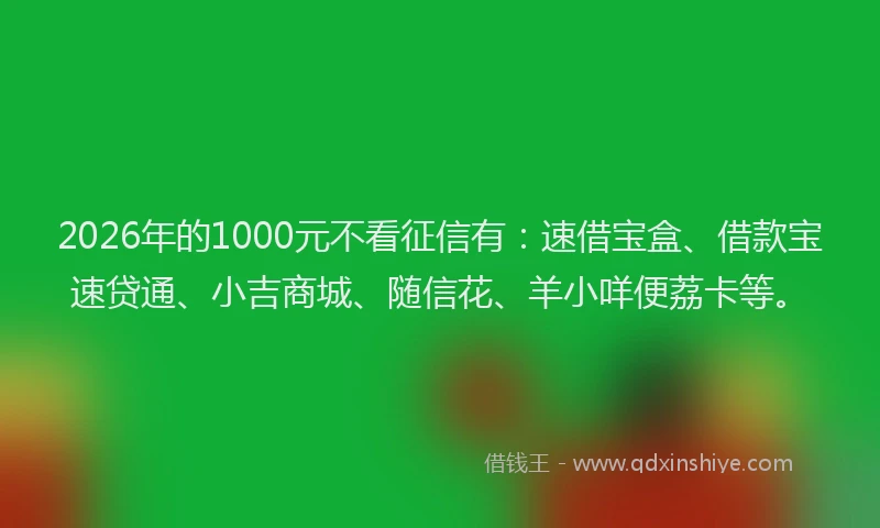 2026年的1000元不看征信有：速借宝盒、借款宝速贷通、小吉商城、随信花、羊小咩便荔卡等。