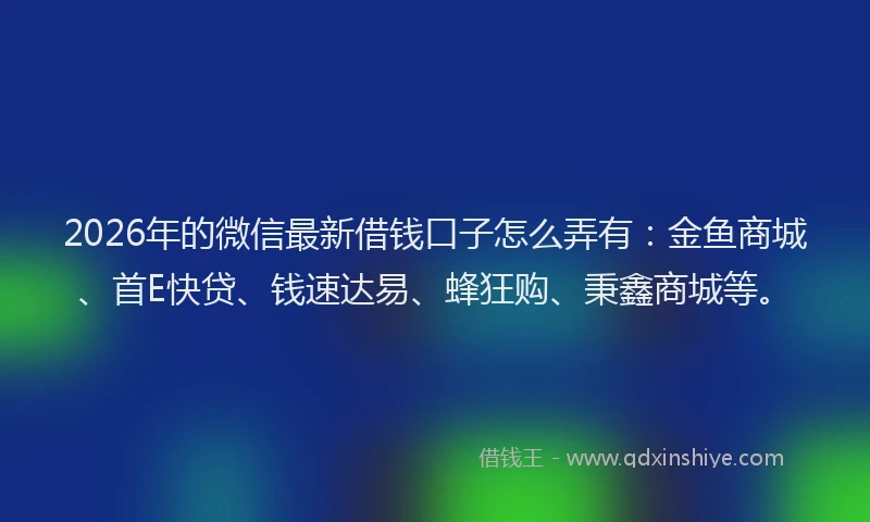 2026年的微信最新借钱口子怎么弄有：金鱼商城、首E快贷、钱速达易、蜂狂购、秉鑫商城等。