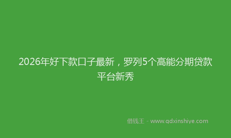 2026年好下款口子最新,罗列5个高能分期贷款平台新秀