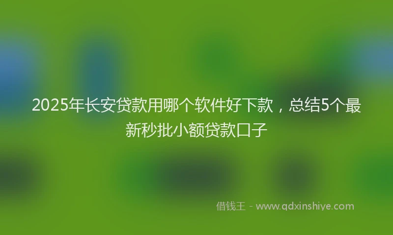 2025年长安贷款用哪个软件好下款，总结5个最新秒批小额贷款口子