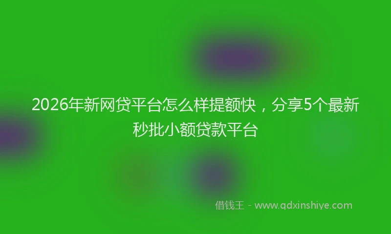 2026年新网贷平台怎么样提额快，分享5个最新秒批小额贷款平台
