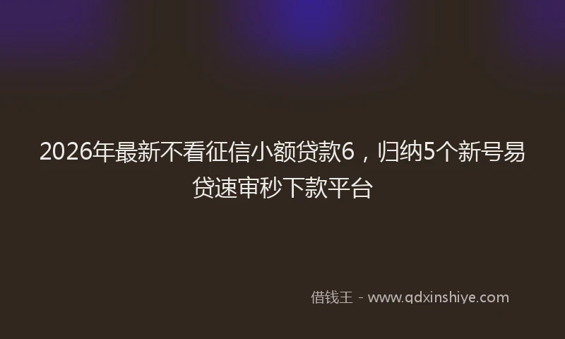 2026年最新不看征信小额贷款6，归纳5个新号易贷速审秒下款平台