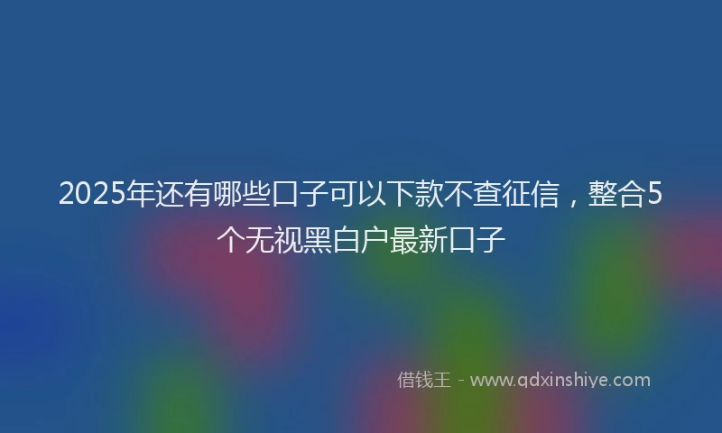 2025年还有哪些口子可以下款不查征信，整合5个无视黑白户最新口子