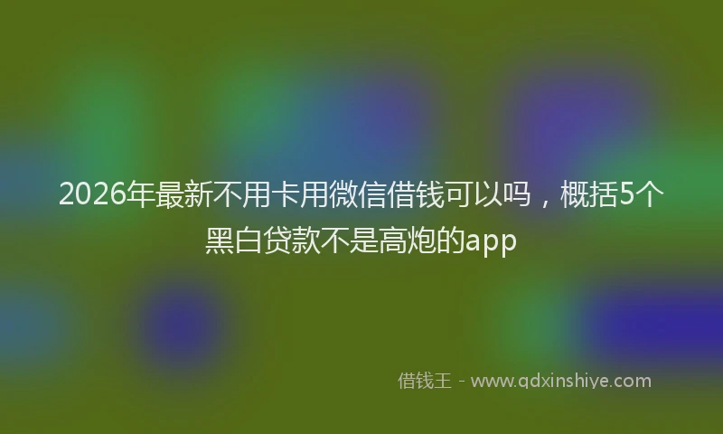 2026年最新不用卡用微信借钱可以吗,概括5个黑白贷款不是高炮的app