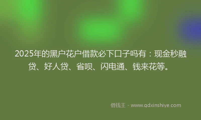 2025年的黑户花户借款必下口子吗有：现金秒融贷、好人贷、省呗、闪电通、钱来花等。