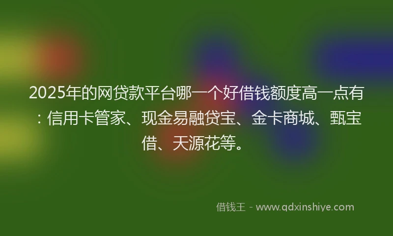 2025年的网贷款平台哪一个好借钱额度高一点有：信用卡管家、现金易融贷宝、金卡商城、甄宝借、天源花等。