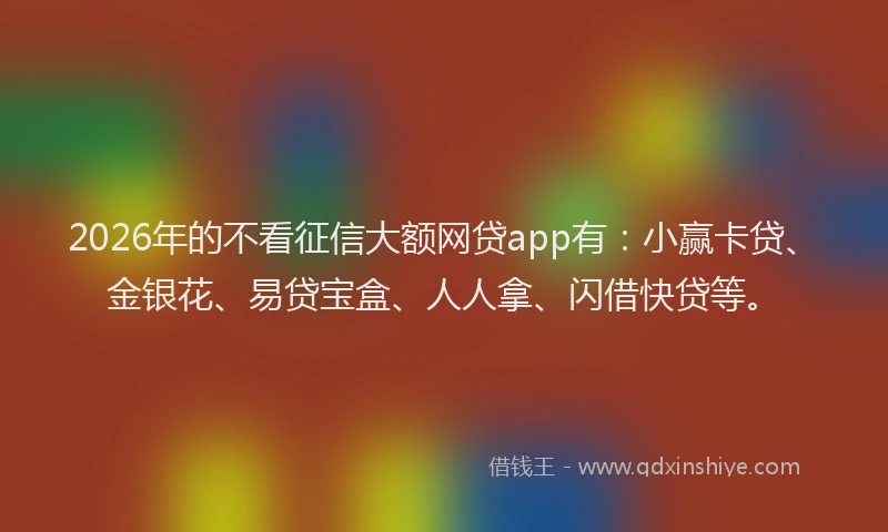 2026年的不看征信大额网贷app有：小赢卡贷、金银花、易贷宝盒、人人拿、闪借快贷等。