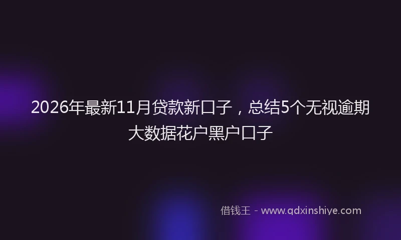 2026年最新11月贷款新口子，总结5个无视逾期大数据花户黑户口子