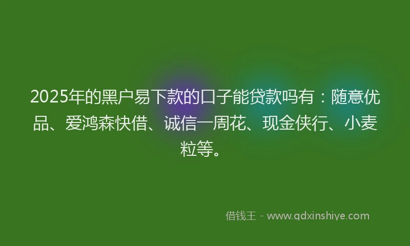 2025年的黑户易下款的口子能贷款吗有：随意优品、爱鸿森快借、诚信一周花、现金侠行、小麦粒等。