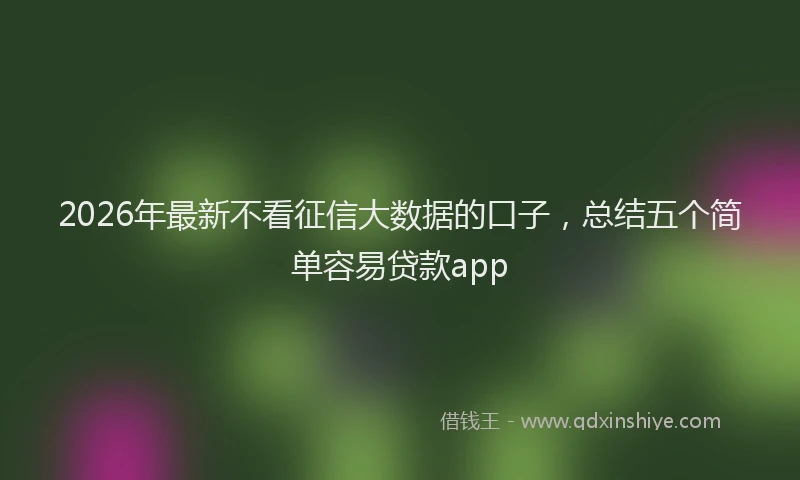2026年最新不看征信大数据的口子，总结五个简单容易贷款app
