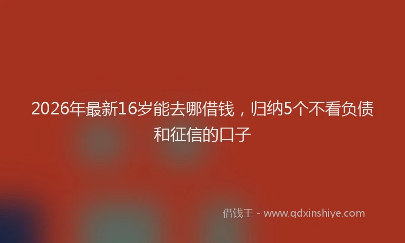 2026年最新16岁能去哪借钱,归纳5个不看负债和征信的口子