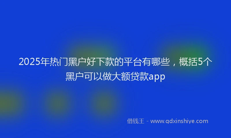 2025年热门黑户好下款的平台有哪些,概括5个黑户可以做大额贷款app