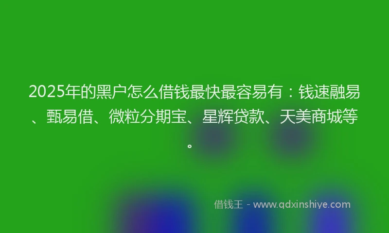 2025年的黑户怎么借钱最快最容易有：钱速融易、甄易借、微粒分期宝、星辉贷款、天美商城等。