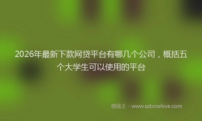 2026年最新下款网贷平台有哪几个公司，概括五个大学生可以使用的平台