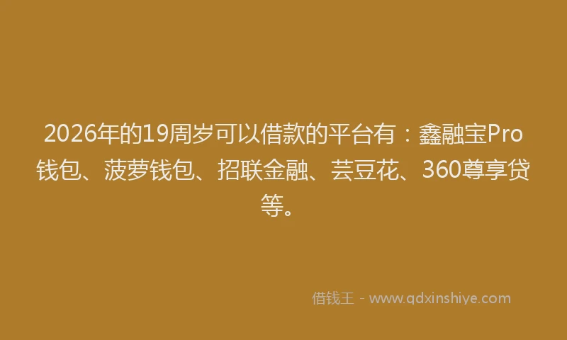 2026年的19周岁可以借款的平台有：鑫融宝Pro钱包、菠萝钱包、招联金融、芸豆花、360尊享贷等。