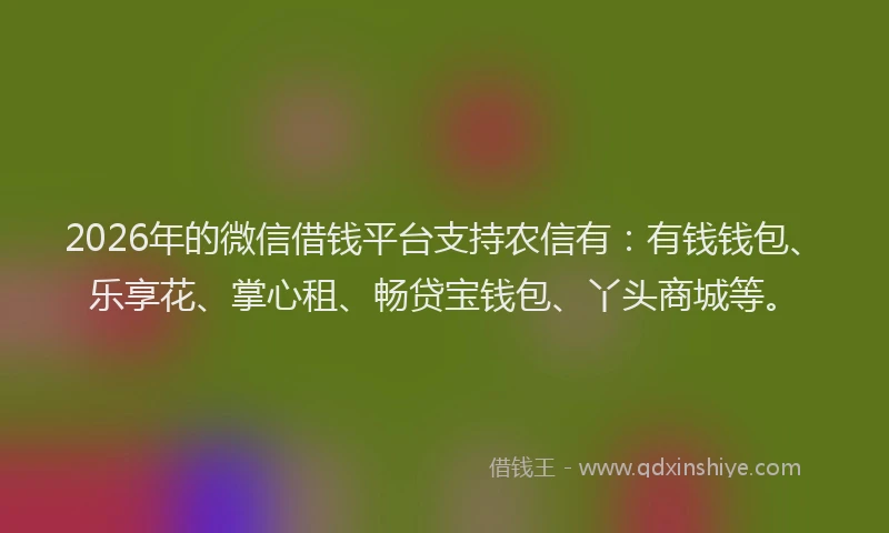2026年的微信借钱平台支持农信有:有钱钱包、乐享花、掌心租、畅贷宝钱包、丫头商城等。