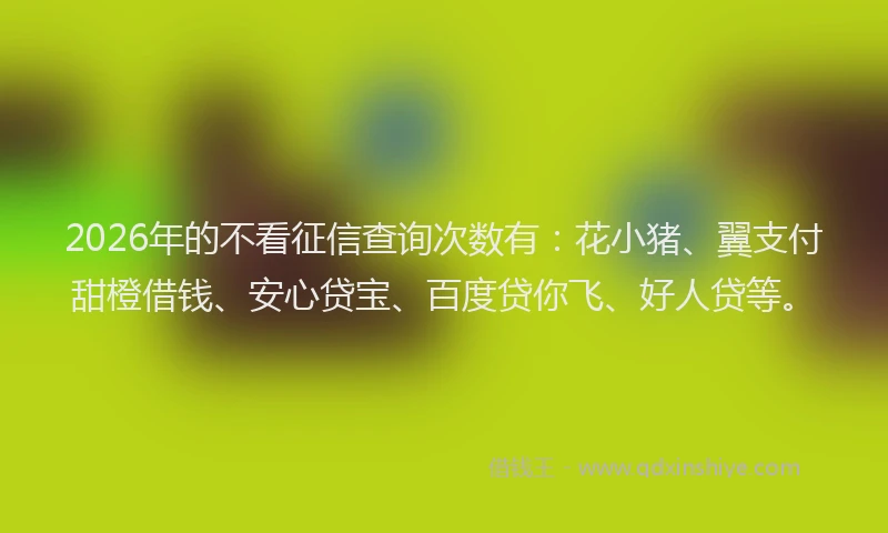 2026年的不看征信查询次数有:花小猪、翼支付甜橙借钱、安心贷宝、百度贷你飞、好人贷等。