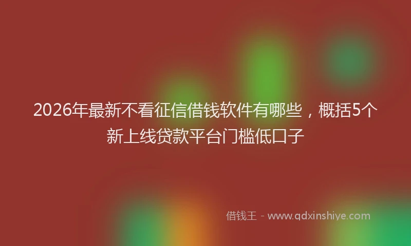 2026年最新不看征信借钱软件有哪些，概括5个新上线贷款平台门槛低口子